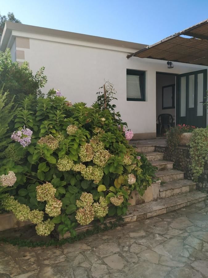 Апартаменты Kjara Apartments Тиват-18