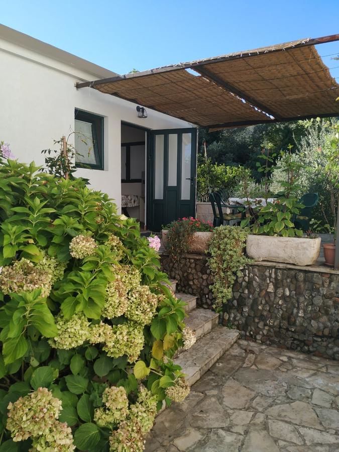 Апартаменты Kjara Apartments Тиват-20