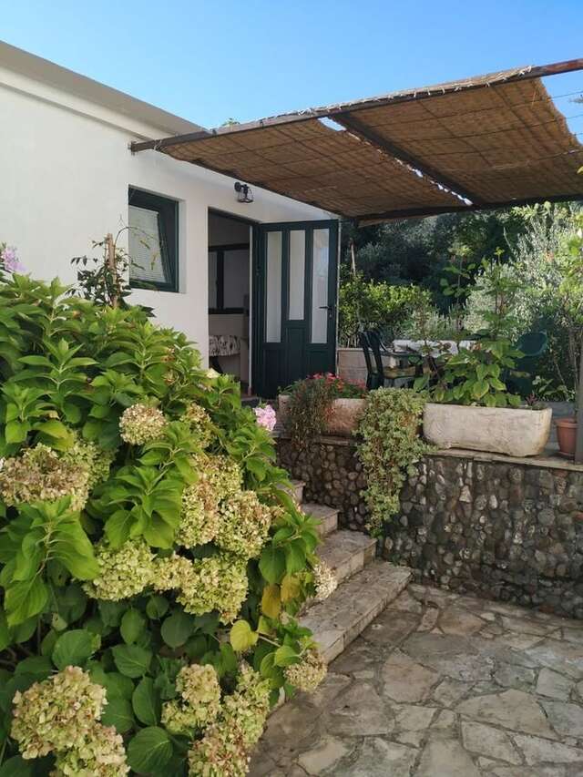 Апартаменты Kjara Apartments Тиват-19